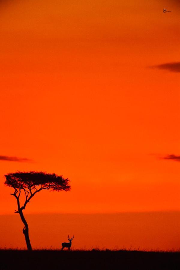 Lorian Safari Camp Limited Hotel Narok Kültér fotó
